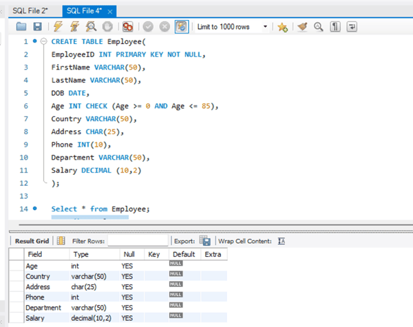 SQL Describe
